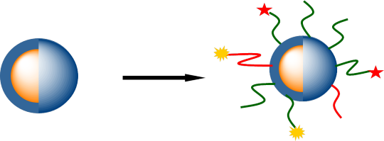 Particle bioconjugation service