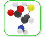 PEG Reagents by Functional Group