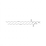 DODAP (1,2-dioleoyl-3-dimethylammonium-propane)